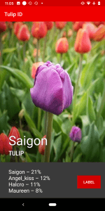 Tulip App